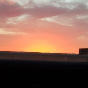 Meet your Posher, Bailey